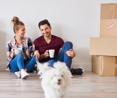 couple and their dog relaxed surrounded by packing boxes